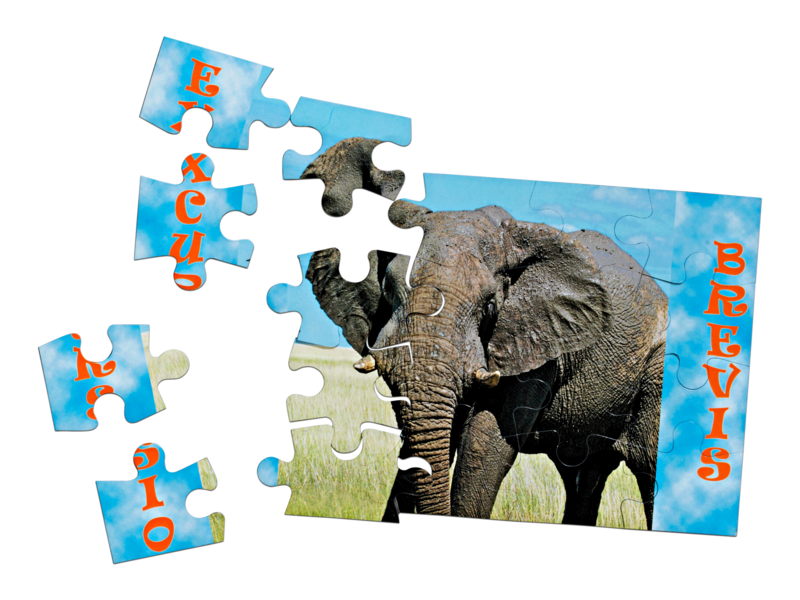 io maat gemaakte magneetpuzzels