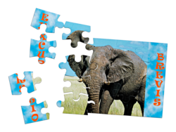 io maat gemaakte magneetpuzzels